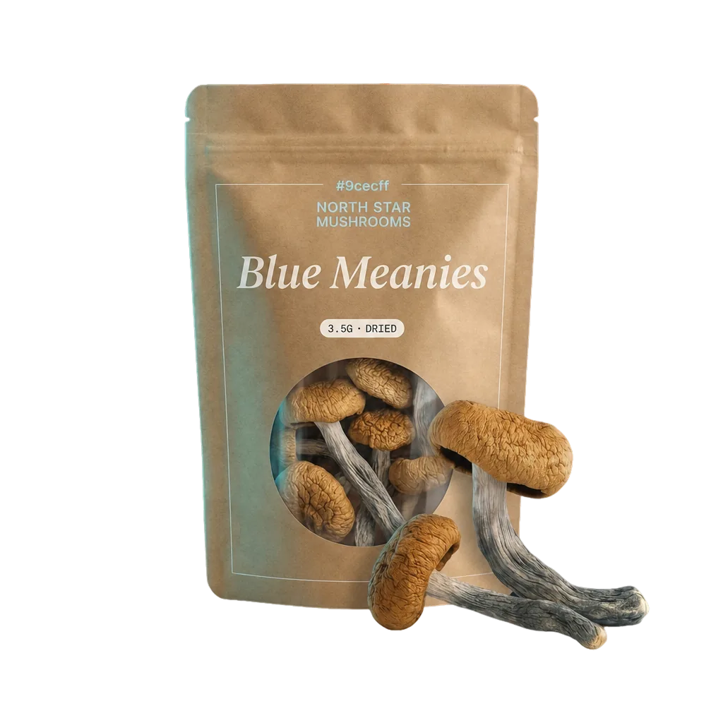Blue Meanies — Dried Magic Mushrooms