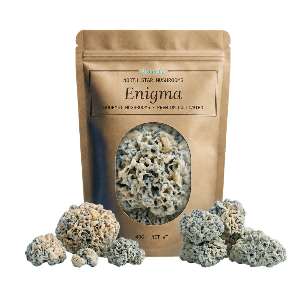 Enigma — Dried Magic Mushrooms