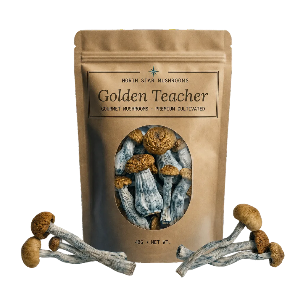 Golden Teacher — Dried Magic Mushrooms