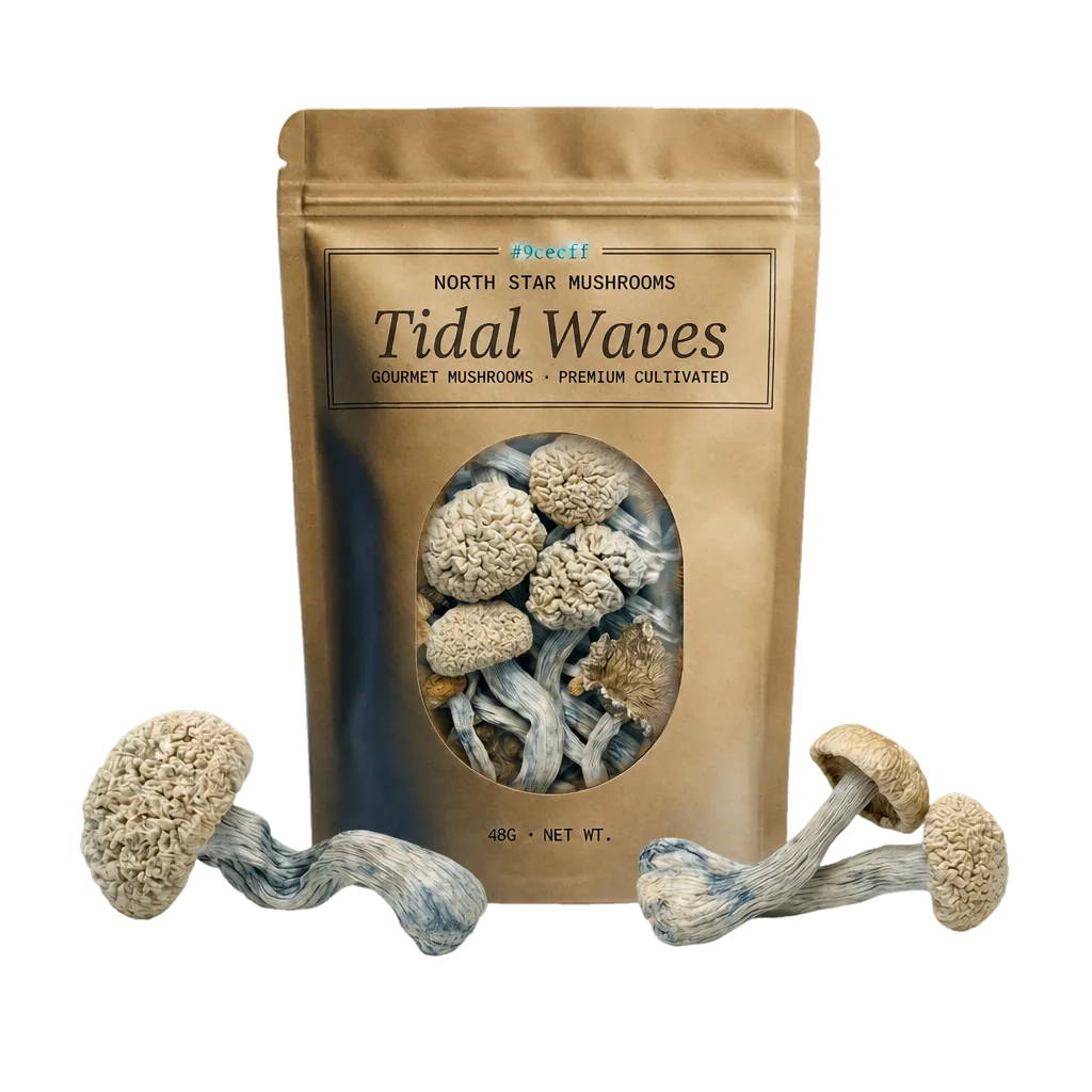Tidal Waves — Dried Magic Mushrooms